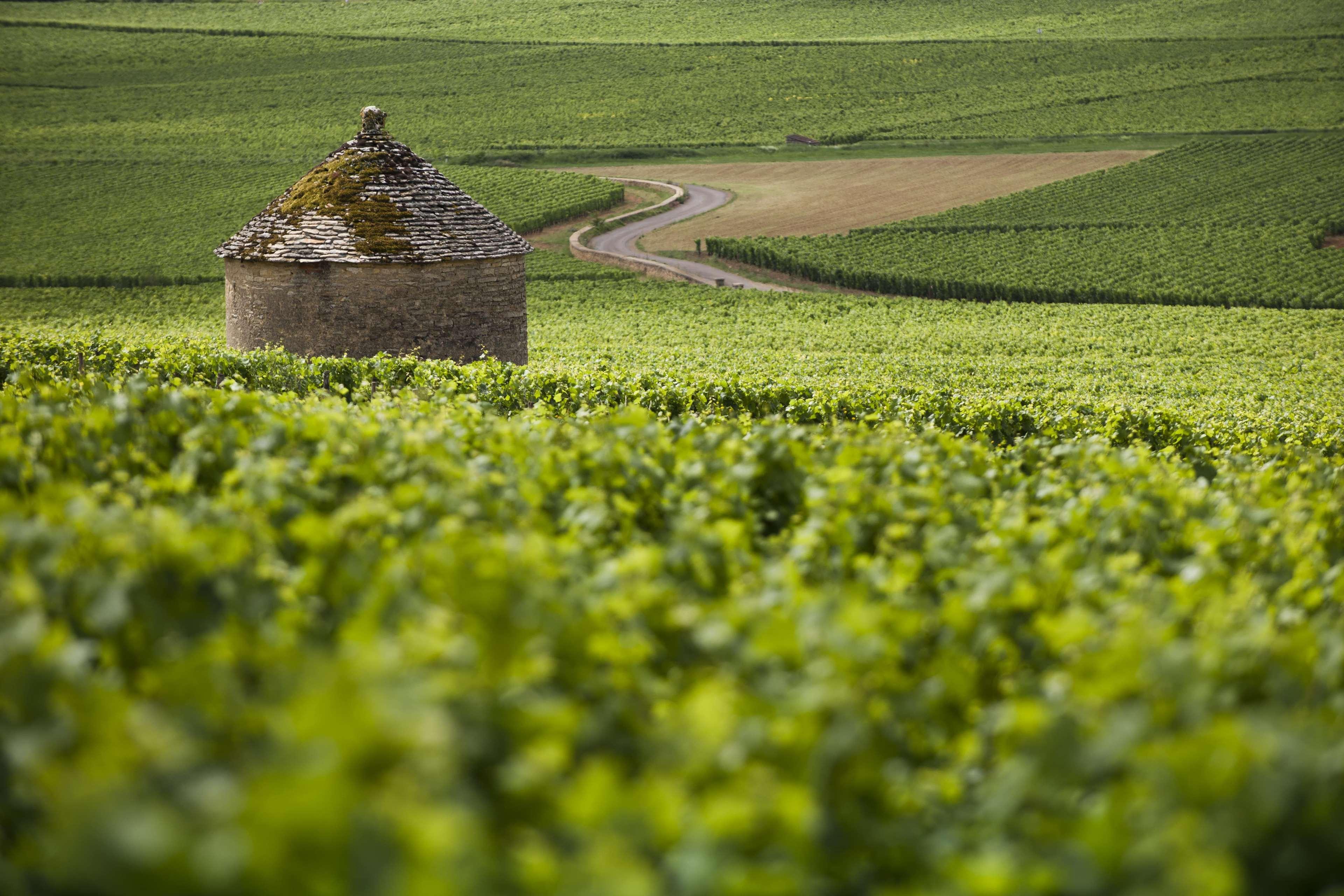 Kyriad Beaune Beaune  Zewnętrze zdjęcie